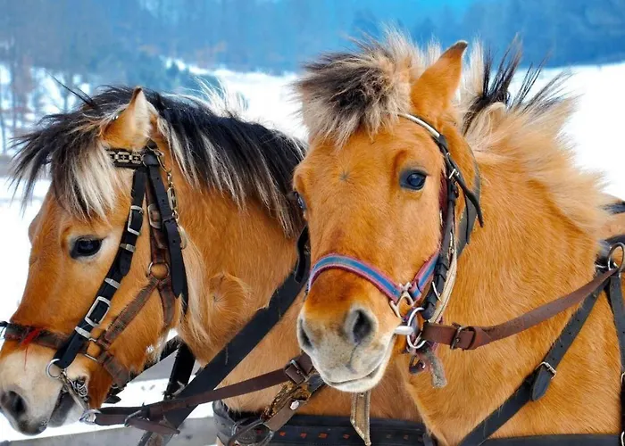 Mit Wasserblick By Interhome Дом отдыха *