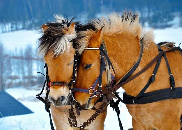Дом отдыха Mit Wasserblick By Interhome *